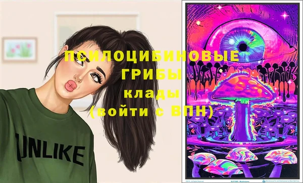 прущие грибы Алексин