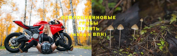 молекула духа Алзамай