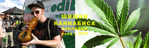 прущие грибы Алексин