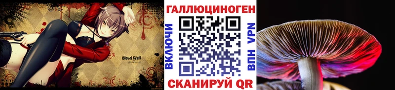 Псилоцибиновые грибы GOLDEN TEACHER  mega tor  Казань  сколько стоит 